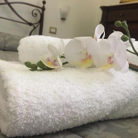 Ciro A Maschio Angioino Bed & Breakfast Napoli Eksteriør bilde